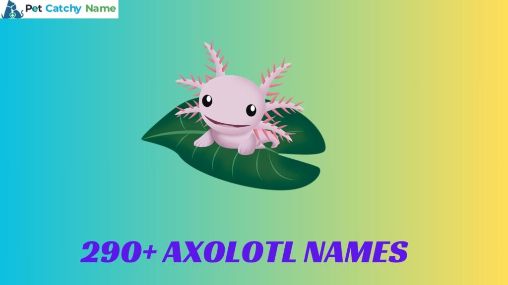 Axolotl Names