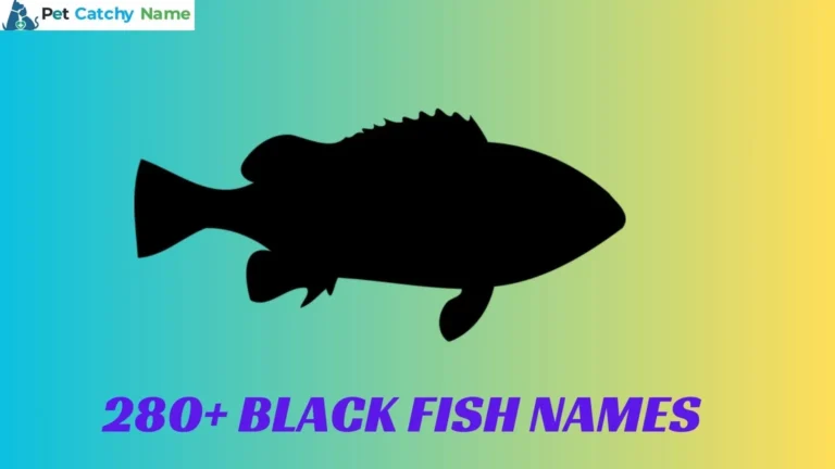 Black Fish Names