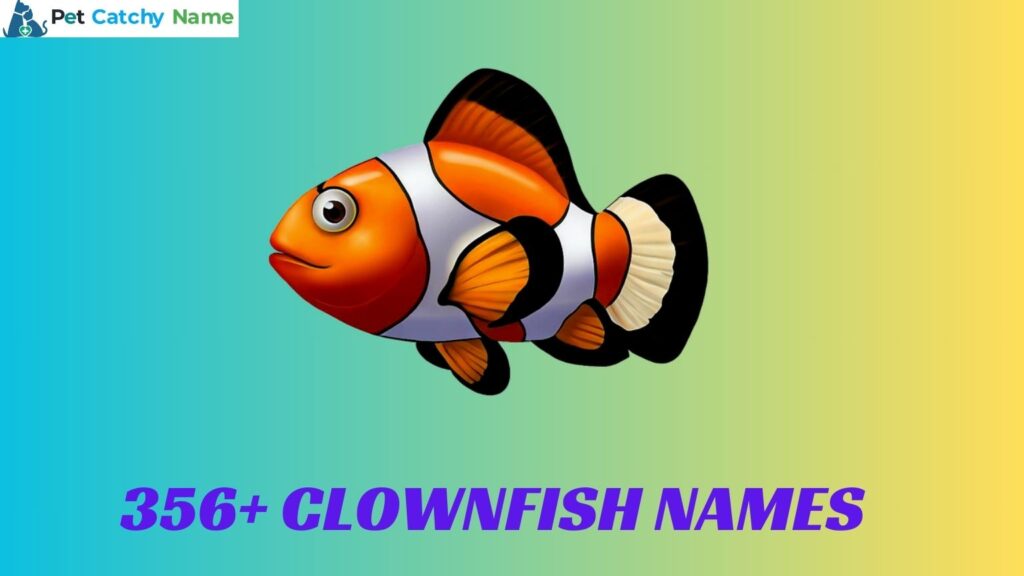 Clownfish Names