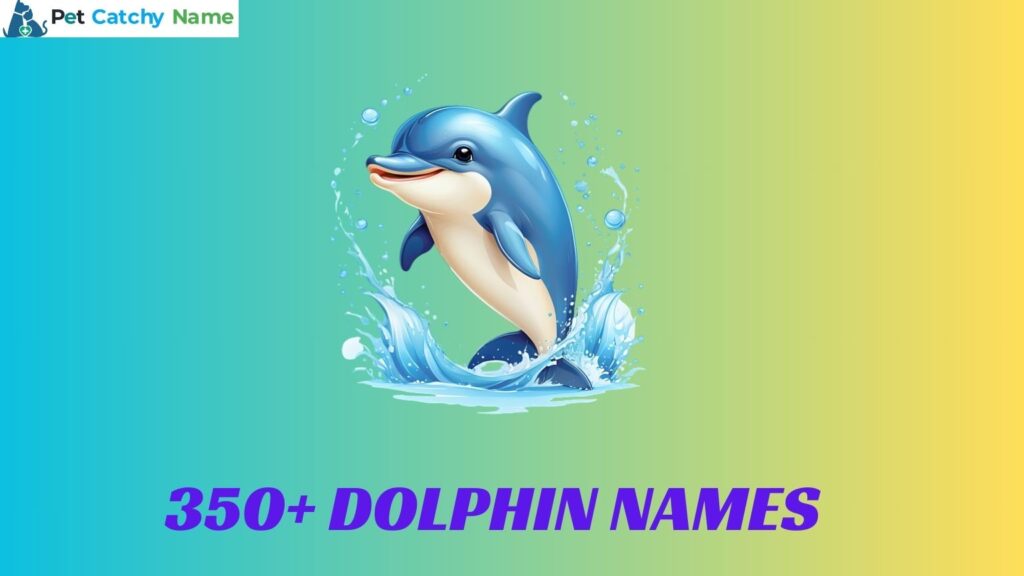 Dolphin Names