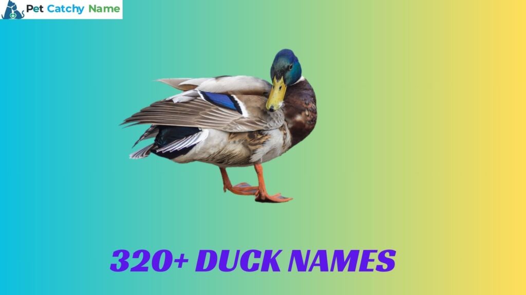 Duck Names