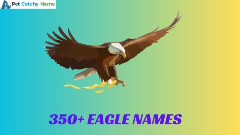 Eagle Names