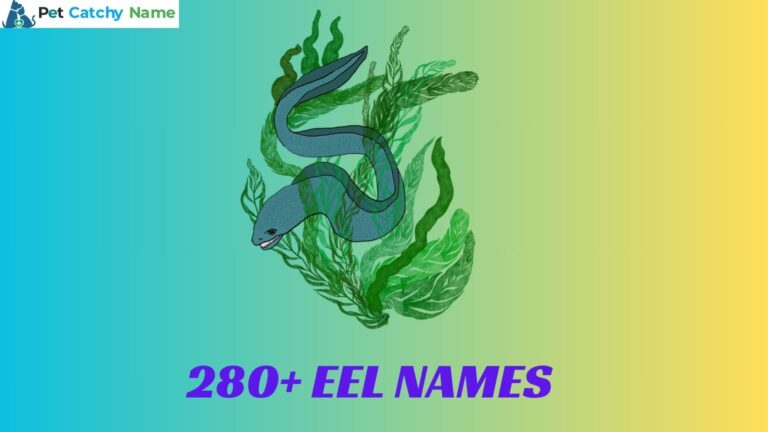 Eel Names