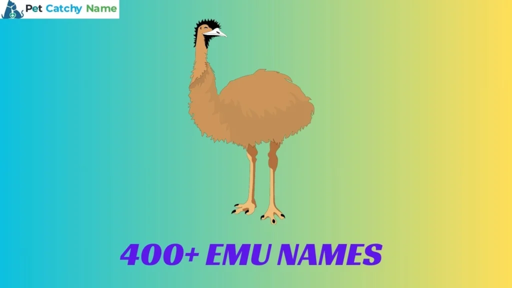 Emu Names