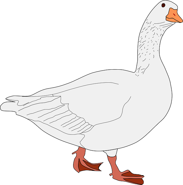 Famous Goose Names