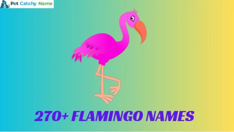 Flamingo Names