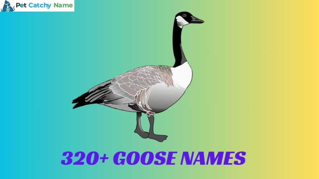 Goose Names