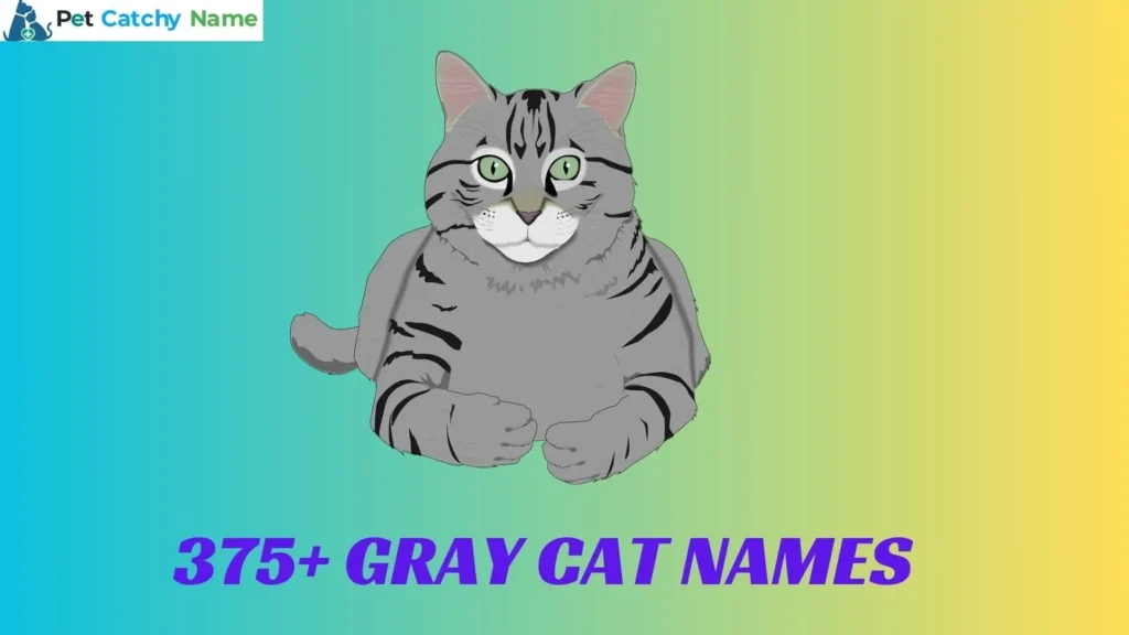 Gray Cat Names