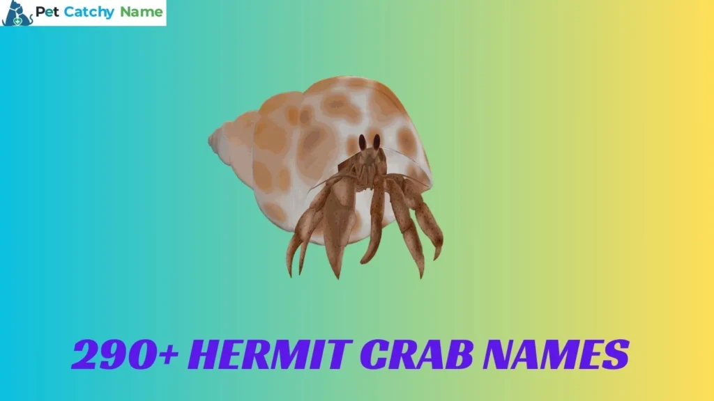 Hermit Crab Names