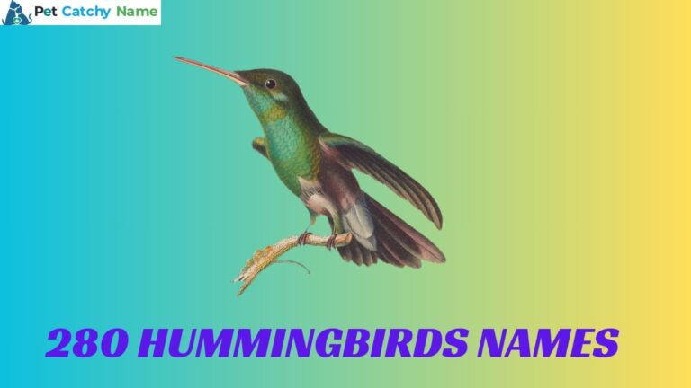 Hummingbirds Names