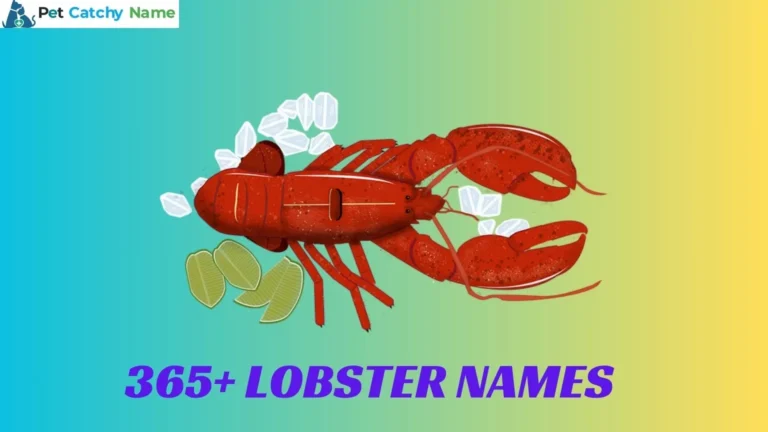 Lobster Names