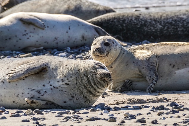 Mythical and Fantasy-Inspired Seal Names