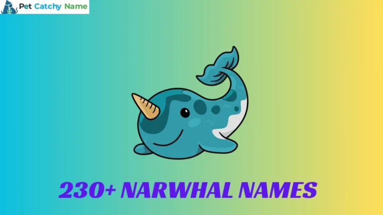 230+ Narwhal Names: Unique and Catchy Names for Your Pets