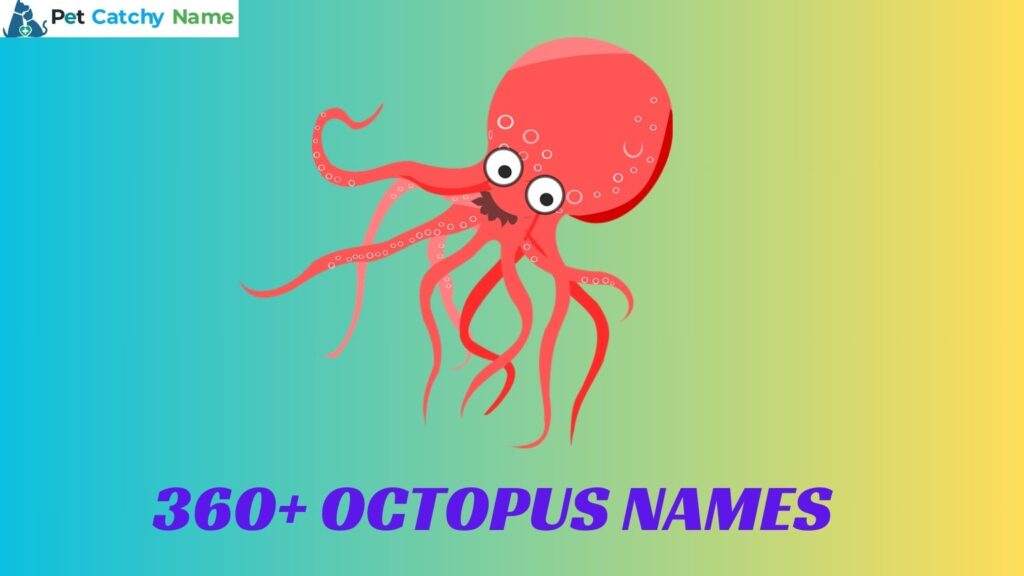 Octopus Names