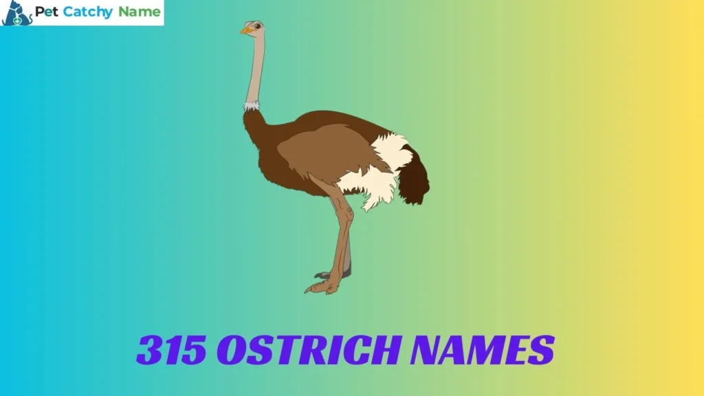 Ostrich Names