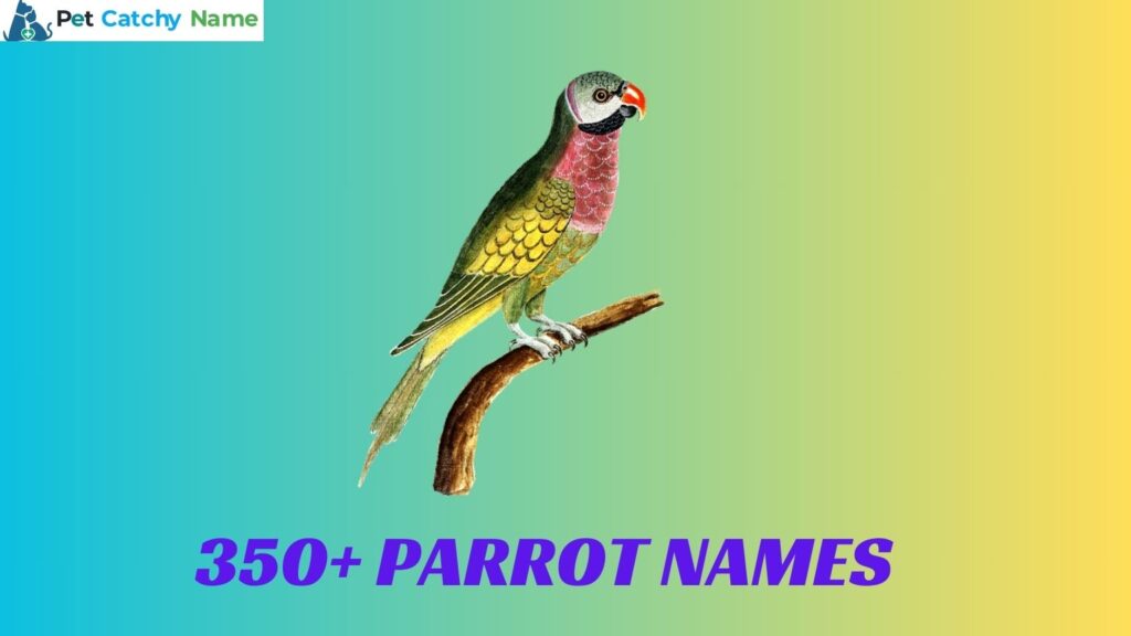 Parrot Names