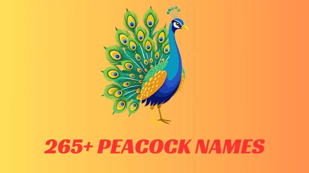 Peacock Names