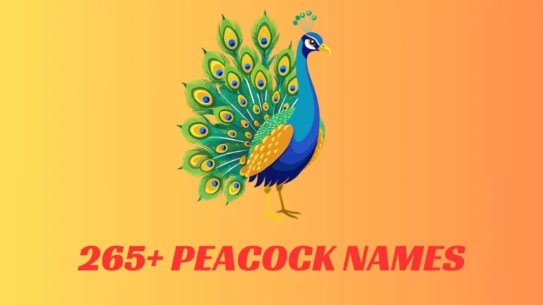 Peacock Names