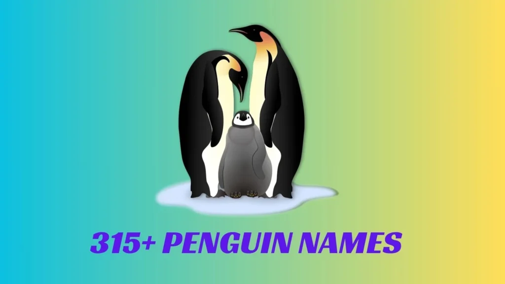 Penguin Names