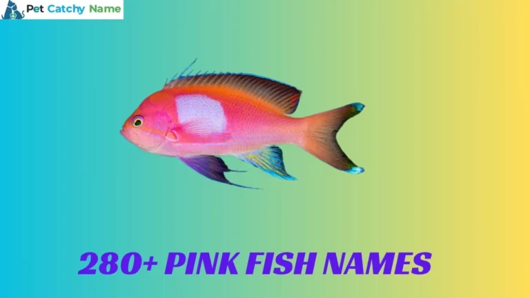 Pink Fish Names