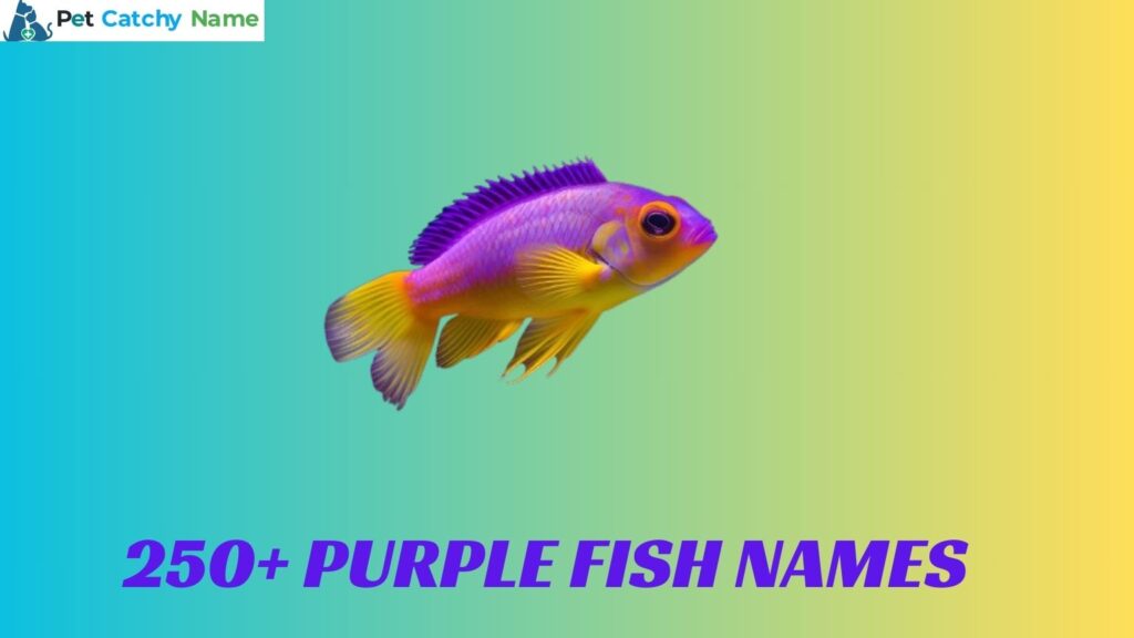 Purple Fish Names