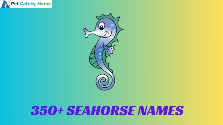 Seahorse Names