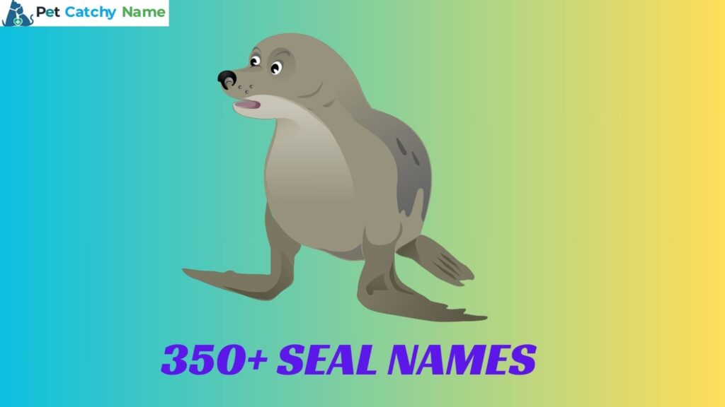 Seal Names