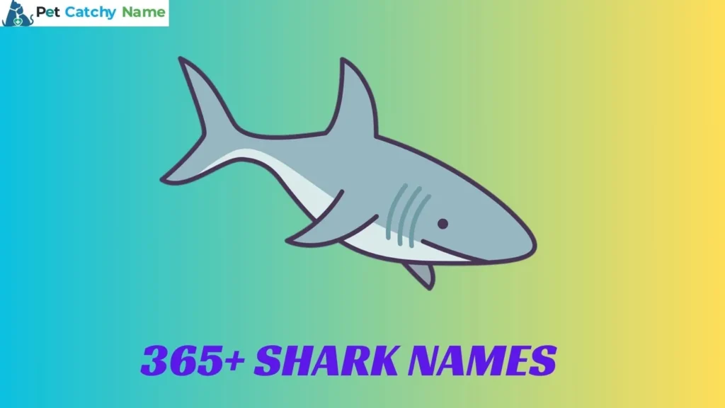 Shark Names