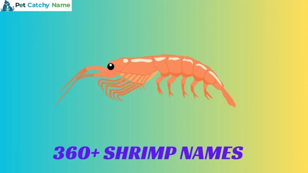 Shrimp Names