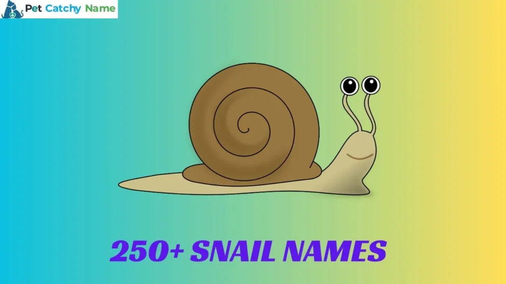 Snail Names