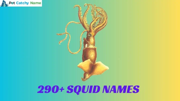 Squid Names