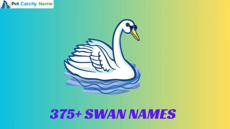 Swan Names