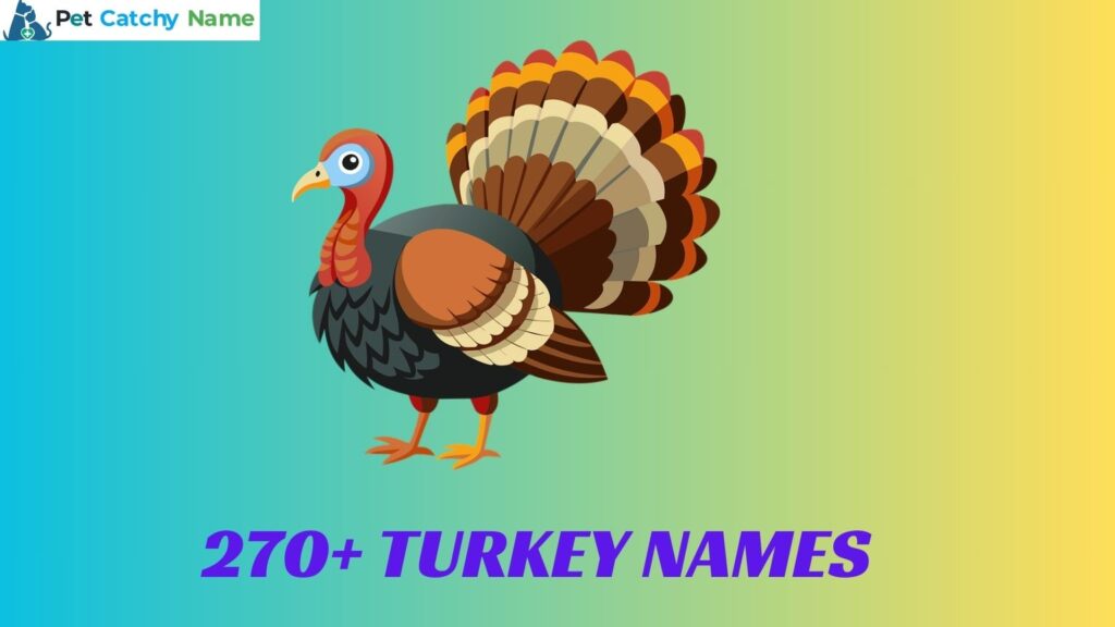 Turkey Names