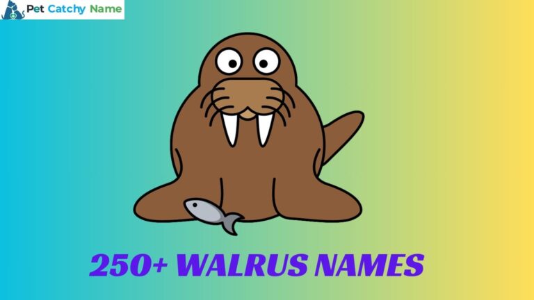 Walrus Names