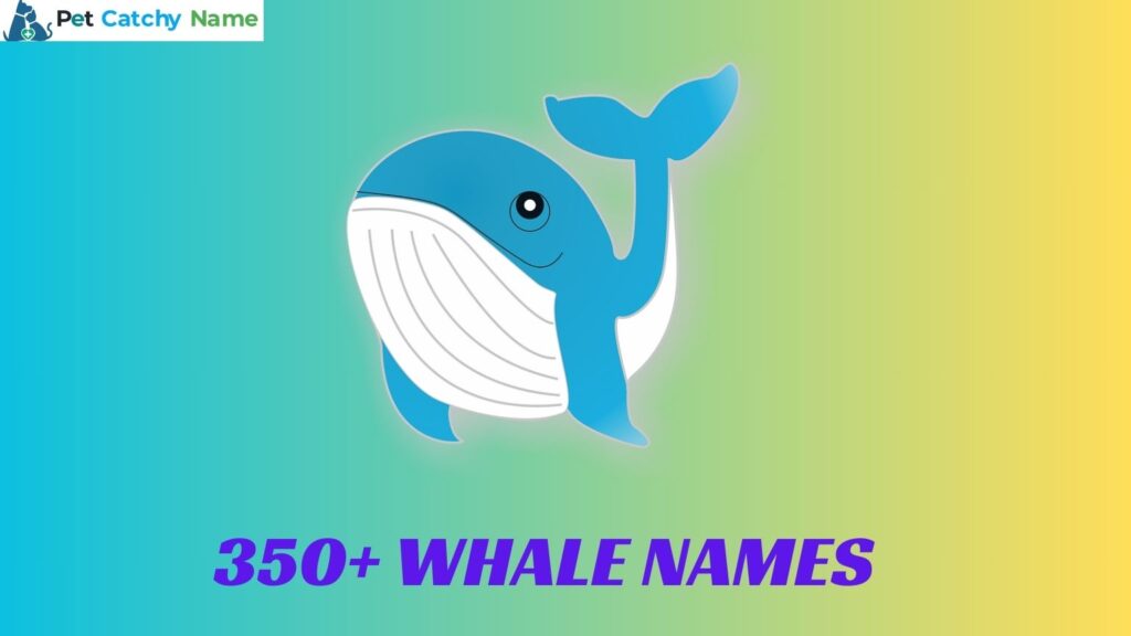 Whale Names