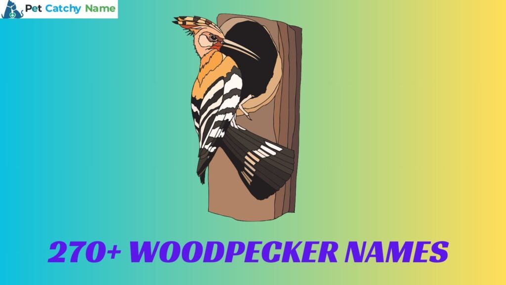 Woodpecker Names