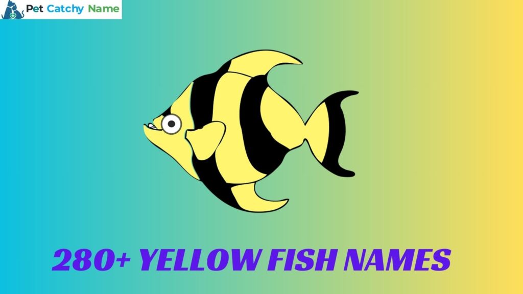 Yellow Fish Names