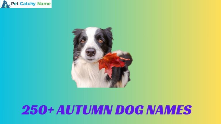 Autumn Dog Names