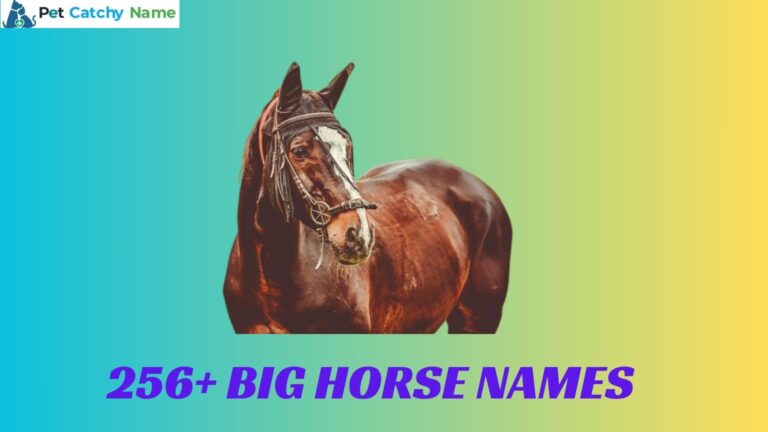 Big Horse Names