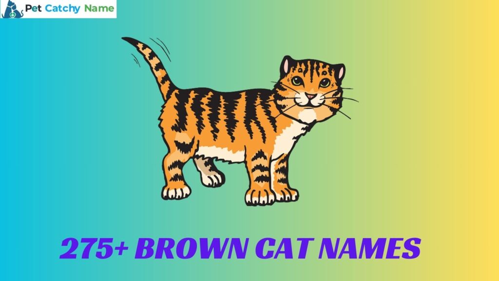 Brown Cat Names