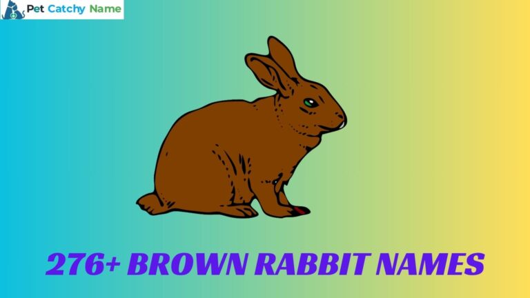 Brown Rabbit Names