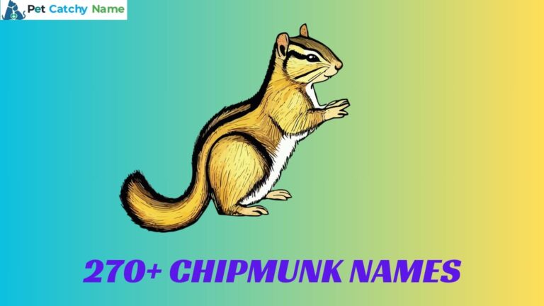 Chipmunk Names