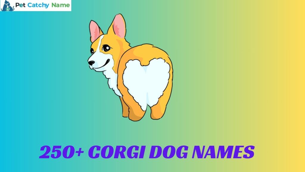 Corgi Dog Names