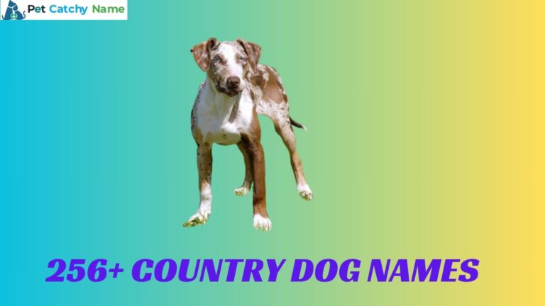 Country Dog Names