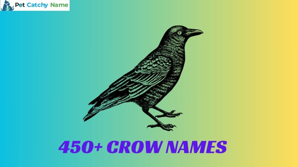 Crow Names