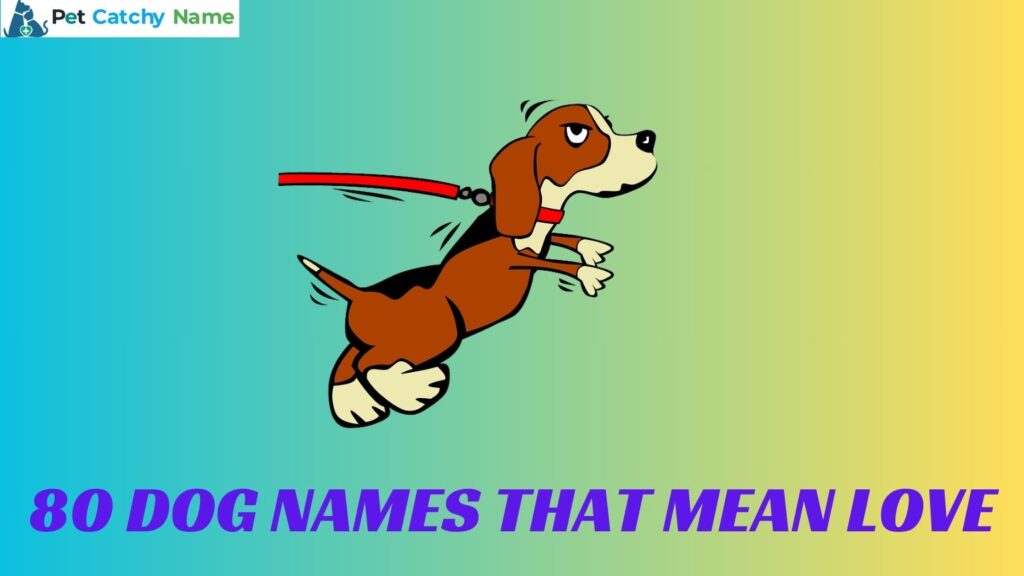 Dog Names That Mean Love