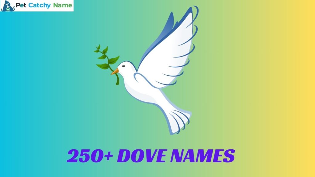 Dove Names