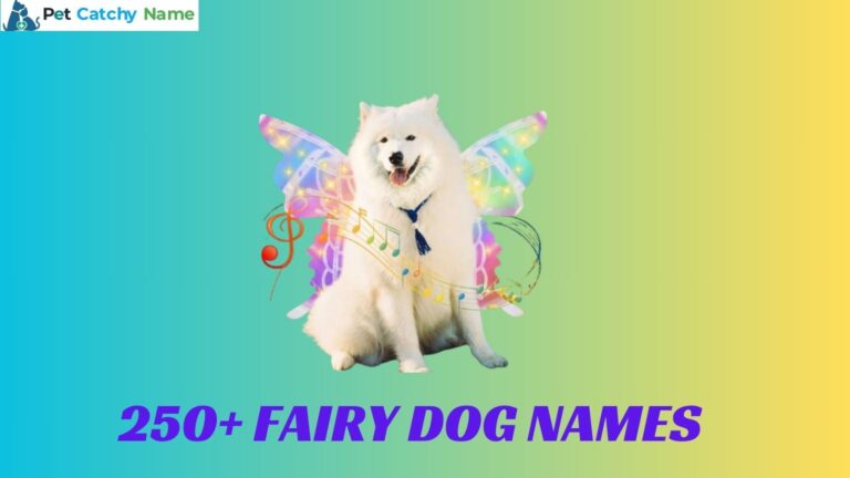 Fairy Dog Names