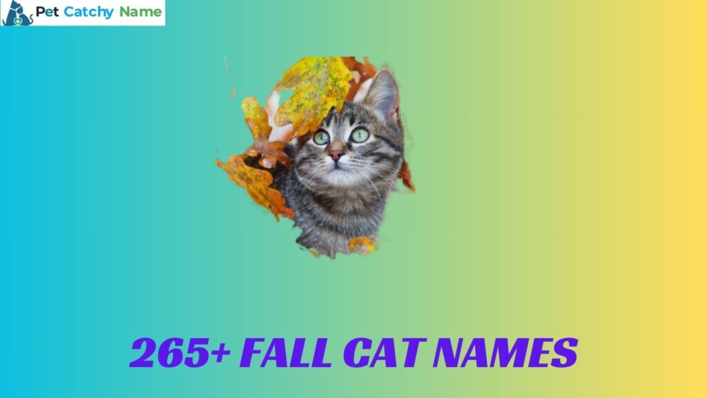 Fall Cat Names