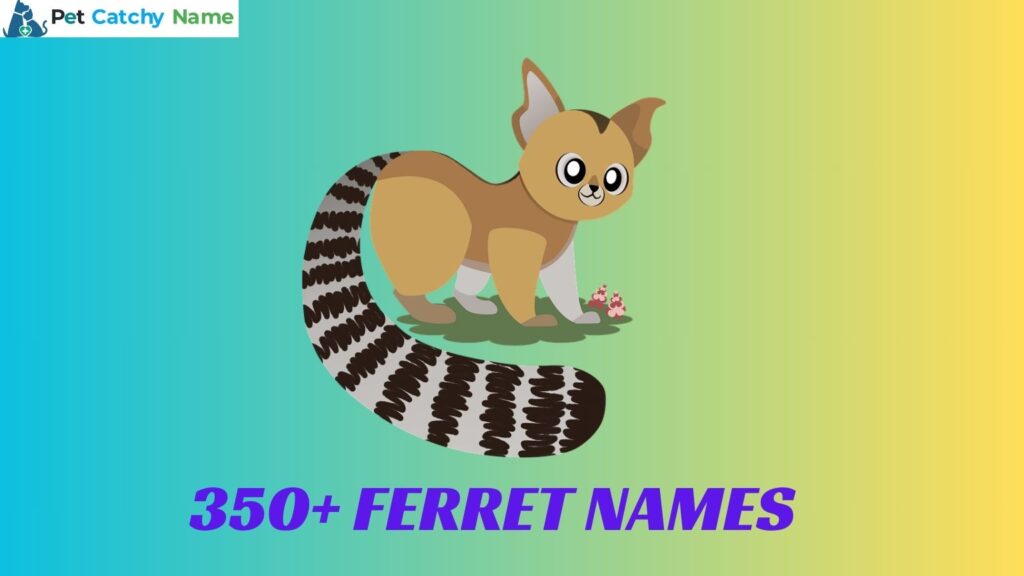 Ferret Names